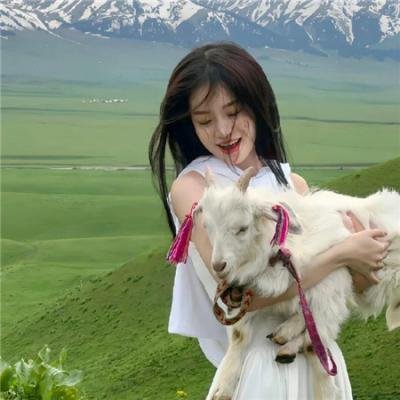 碧姬达蕙花 封面