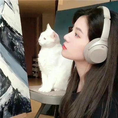大秦赋 封面
